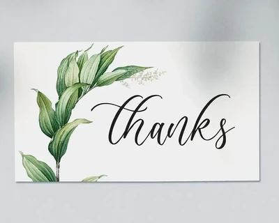 Anelisa Beauty Script Font