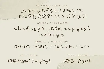 Bella Hanna font