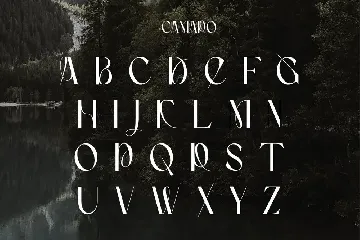 Camaro | Stylish Display font