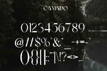 Camaro | Stylish Display font