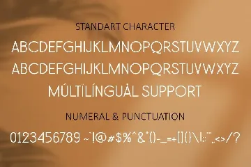 Sans Shiro font