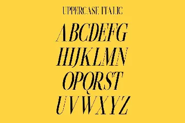 Beachwalk | Elegant Retro Serif font