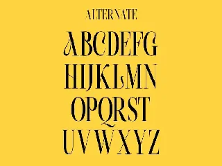 Beachwalk | Elegant Retro Serif font