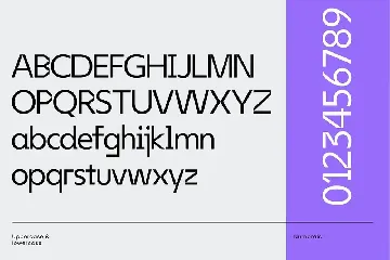 Nethead Grotesque Sans Serif Font