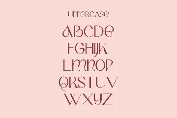 Berry Bean | Modern Stylish font