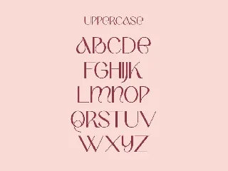 Berry Bean | Modern Stylish font