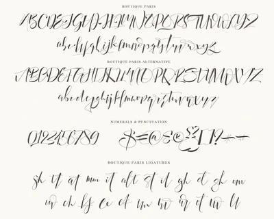 Boutique Paris - Modern Script font