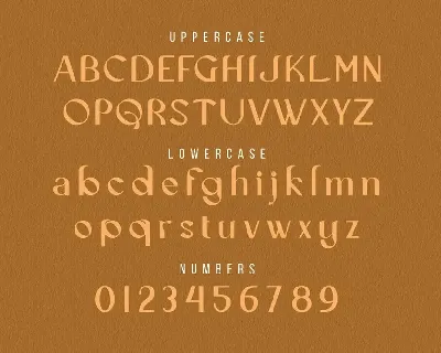 Cecision font