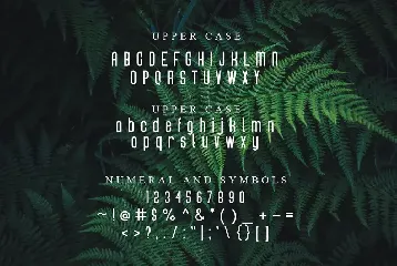 Pinnid Font