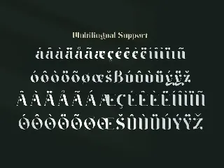 Braga Serif Classic & Modern font