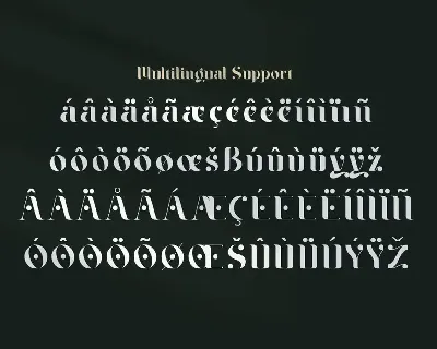 Braga Serif Classic & Modern font