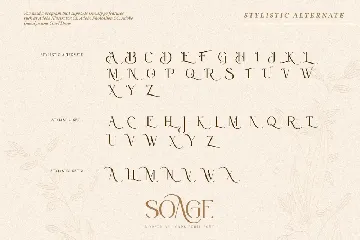 Soage-Modern Sans Serif Font