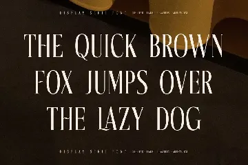 Mocnetla Display Serif Font