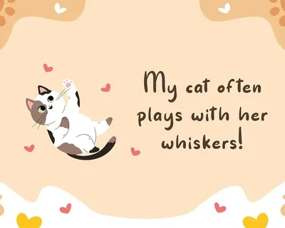 Catto Puroo - Display Font