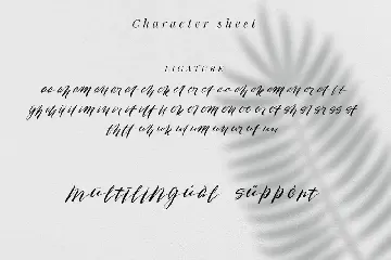 Rose Malow - Modern Script Font