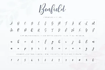 Benfield - Script Font