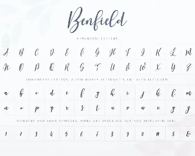 Benfield - Script Font