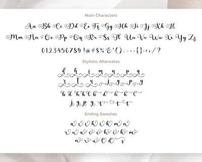 Delightica Handwritten Script Font TT