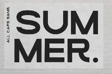 Loving Summer | Font Duo