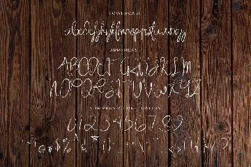 Medieval Times - Handwritten Script Font