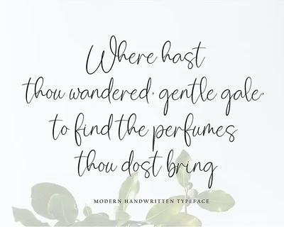 Simpllicity font
