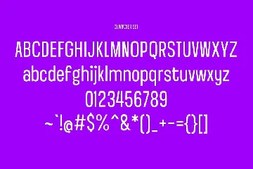 Bigfutz Sans Display Font