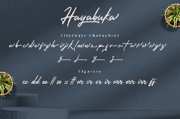 Hayabuka - Signature Font