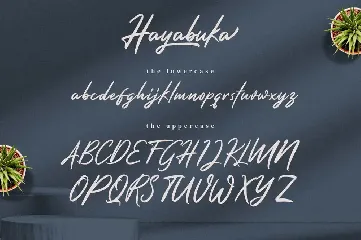 Hayabuka - Signature Font