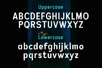 Pro Sotan font