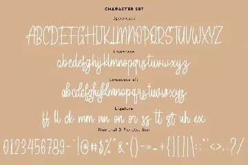 Bagelorts Handwritten Script Font