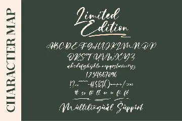 Limited Edition Signature Script font