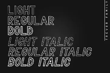 Trevor - Elegant Sans Serif Family Font