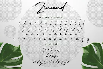 Zincand Modern Script Font