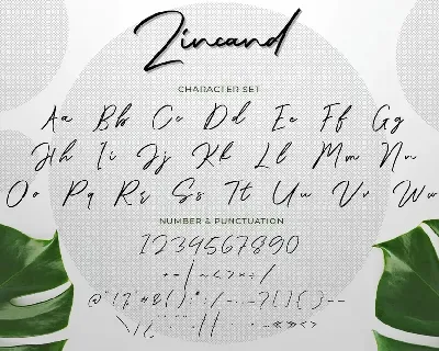 Zincand Modern Script Font