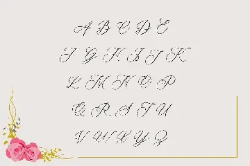 Belflower Script | Modern font