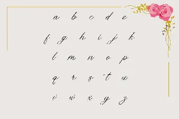 Belflower Script | Modern font