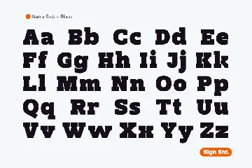 Netra Slab - Black font