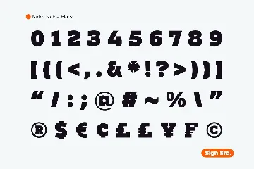 Netra Slab - Black font