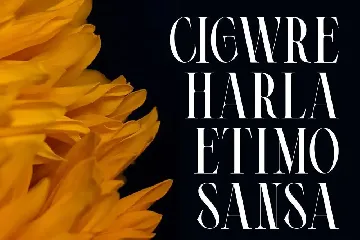 Cigero | Modern Serif font