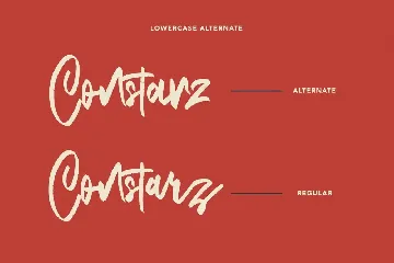 Constarz Marker Brush Script Font