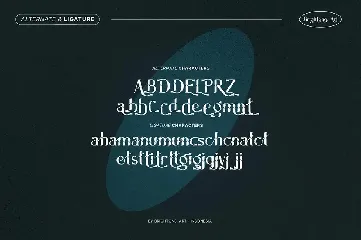 Electroblitz - Modern Serif font