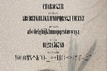 Tiara - Serif Font