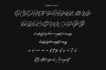 Warwicks Fancy Signature Font