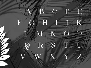 Qaigero | Modern Serif font