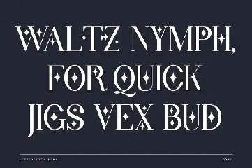 Wondernesia Nostalgic & Modern Serif font