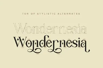 Wondernesia Nostalgic & Modern Serif font