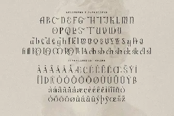 Makgery Serif Stylish Font