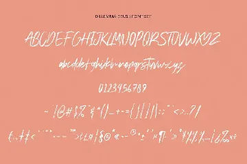 Dillemma Handwritten Brush Font Extra Swash