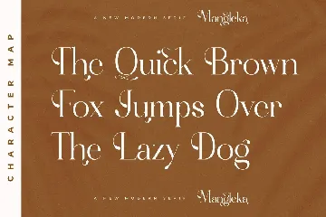 Mangleka A Modern Serif Font