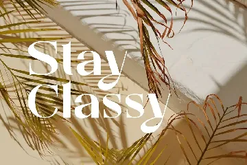 Calya | Modern Luxury font